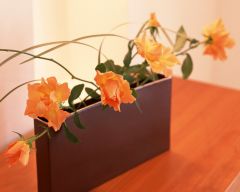 Tapeta Nature Flowers 516.jpg